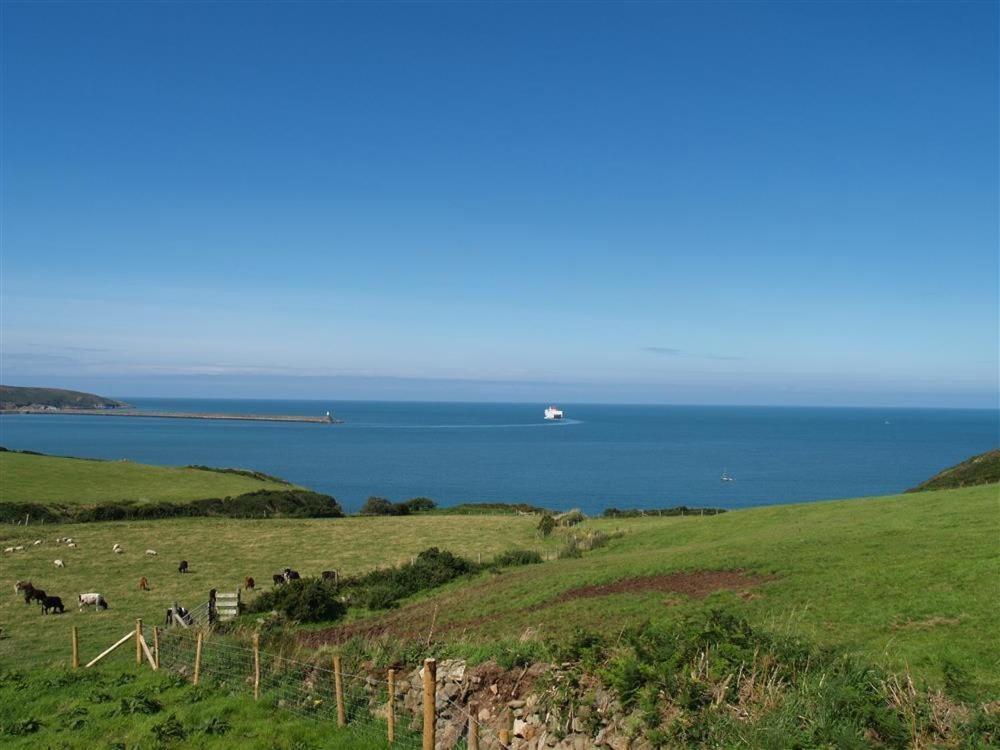 Cable Cottage Fishguard Exterior photo